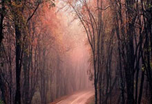 开云体育官网-曼联核心球员体能恢复，备战河床