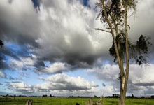 开云体育APP下载-蒙特雷球员心理调节到位，比赛中发挥更稳定