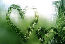 开云官网-鹿岛鹿角多线作战阵容调整，保证体能充沛