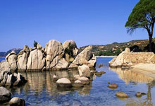 开云体育登录-塔斯马尼亚联进攻端火力全开，状态持续爆发