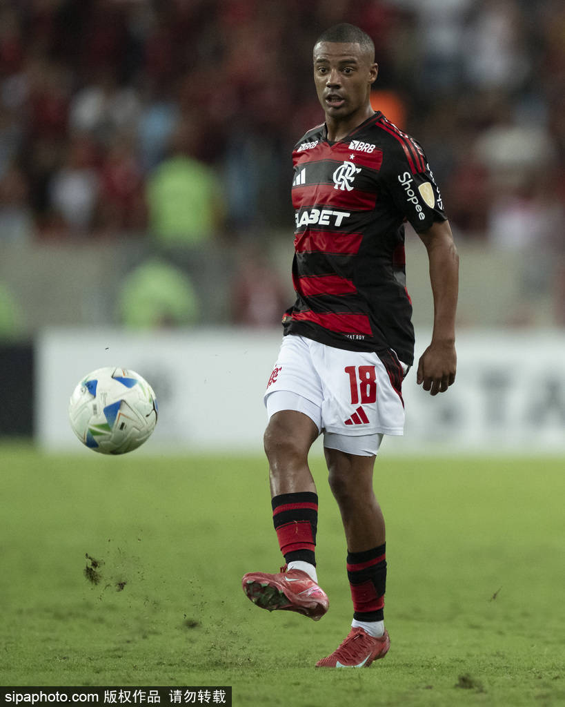 关于数据分析：博塔弗戈历史战绩与本届展望的信息