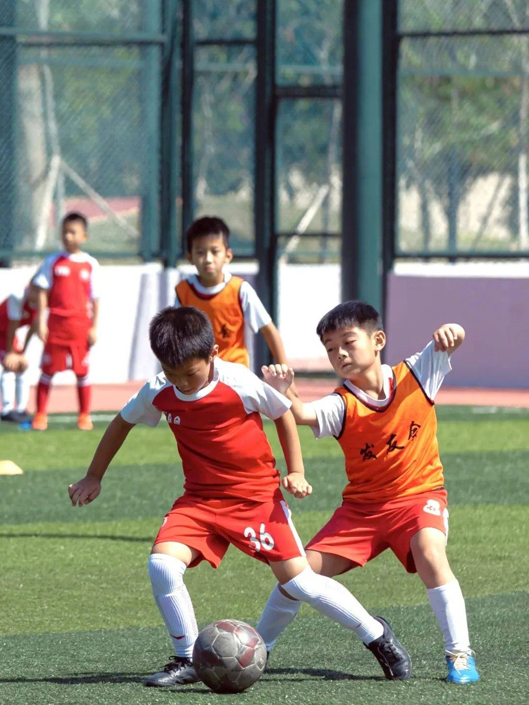 足球赛场上一幕规模宏大的场面！