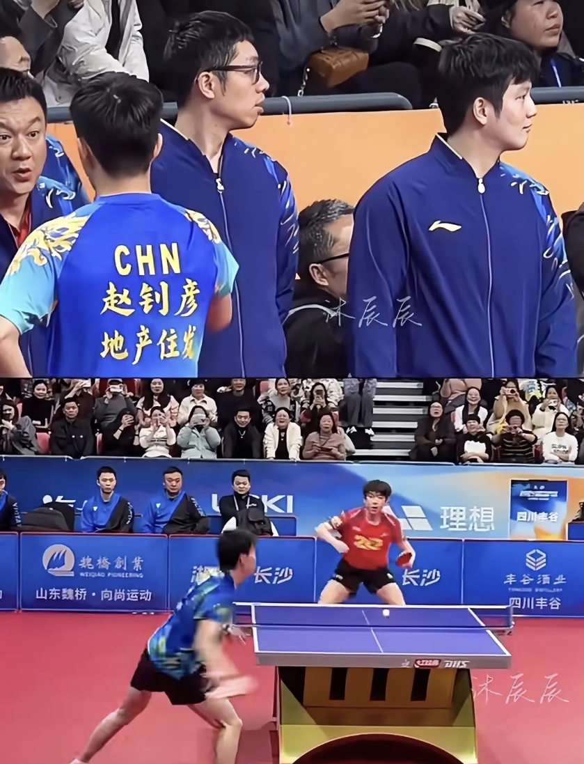开云体育在线-中国队绝杀波兰队，许昕统治全场