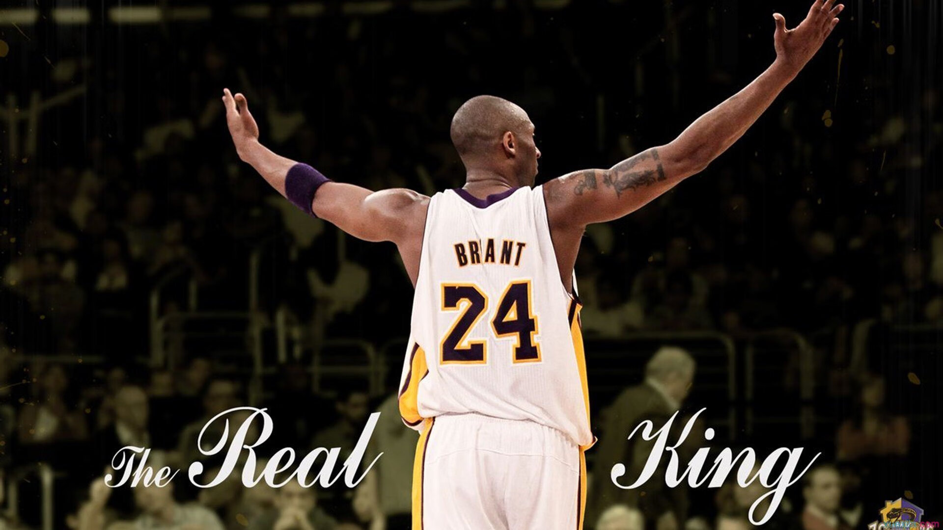 一堂防守拆解公开课，拉文如何用广厦的盾教会深圳进攻